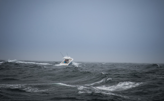 2016-Whaler-Cape-Cod-2466