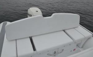 BRP MV 550 GT - Evinrude 90 HO