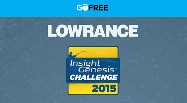 GoFree-Insight-Genesis-Challenge_1