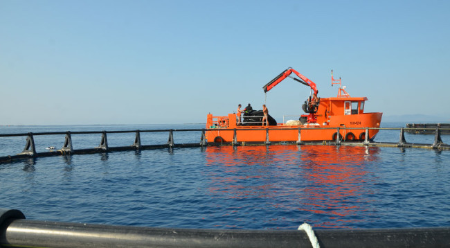 Fassi-Gru_Golfo-Follonica_4