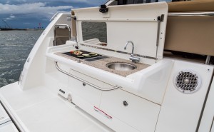 Sea Ray 400 DA Grill