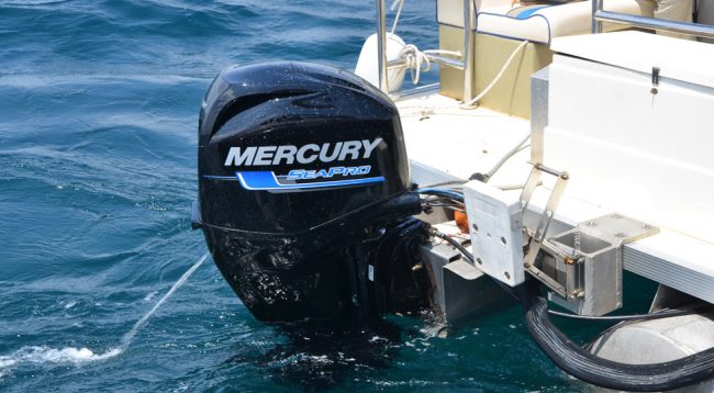 Mercury-SeaPro-40_Pontoon_1