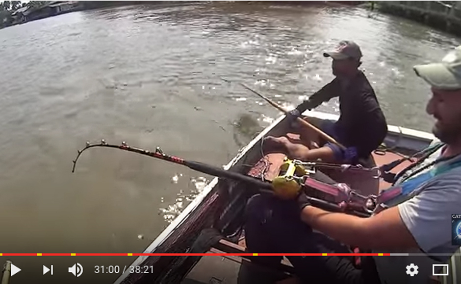 Video integrale: è di un italiano la pesca record di una razza di 240 chili, poi rilasciata