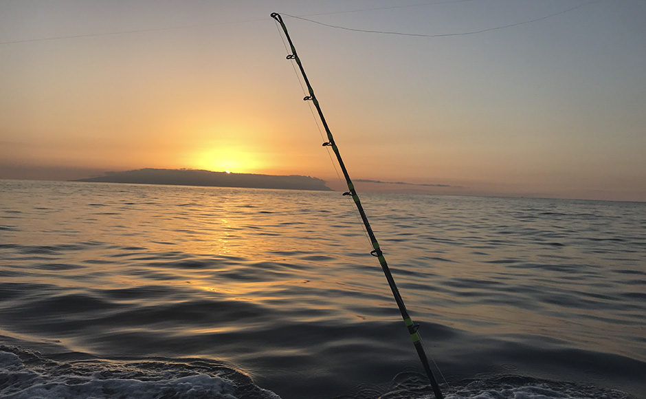 I tonni alle Canarie si pescano 365 giorni l’anno