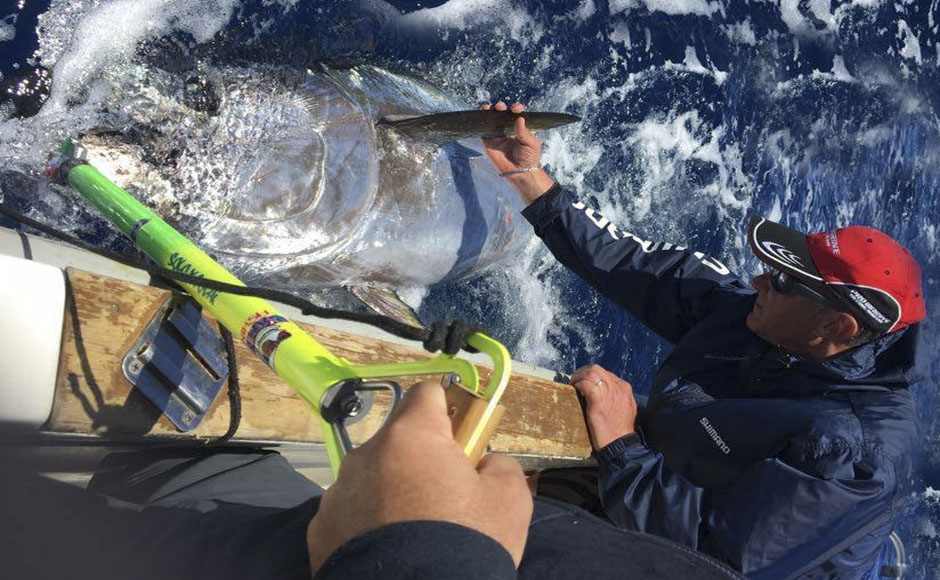 Il campione “Zambo” Gianluca Zambernardi: “Così alle Canarie catturo i tonni giganti”