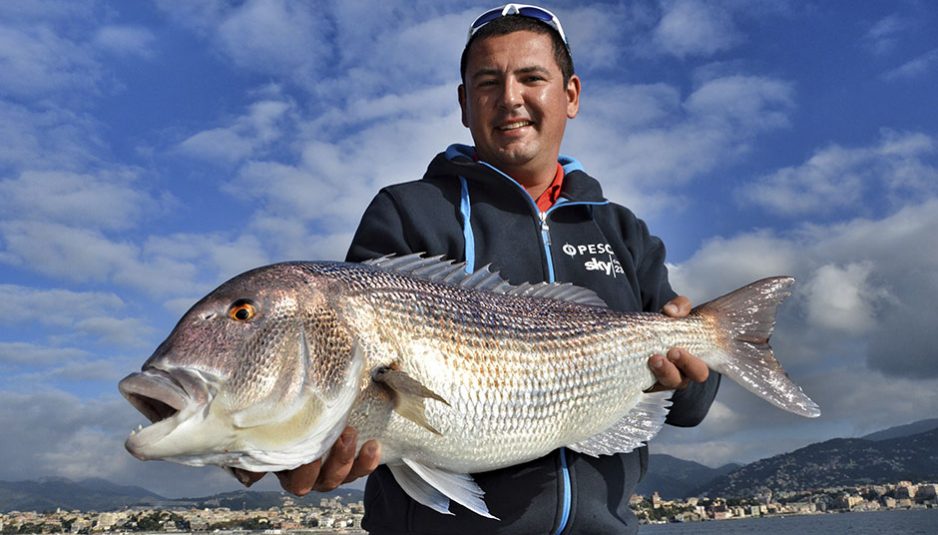 VIDEO PESCA TRAINA SCARICARE