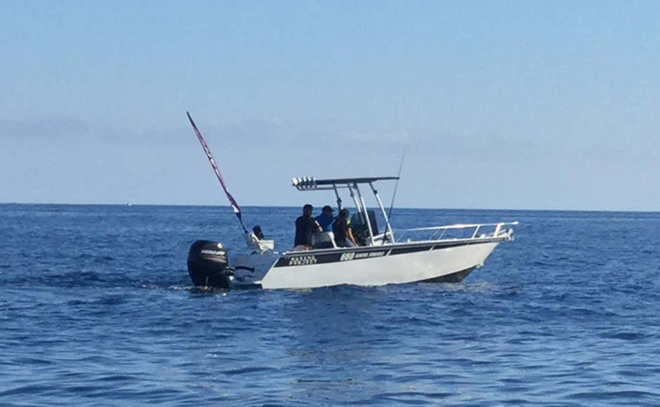 Marine Project 660