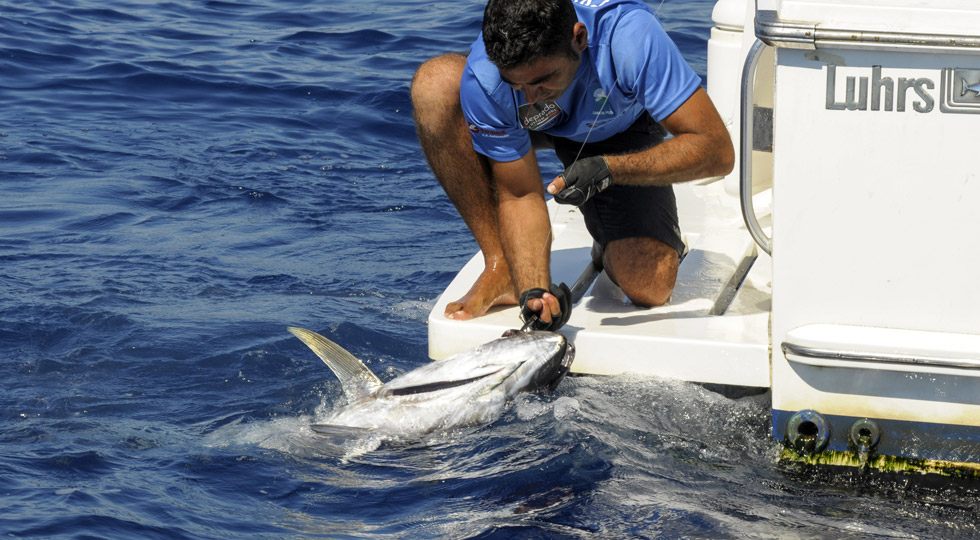 Tuna Cup Anzio, a settembre la seconda edizione