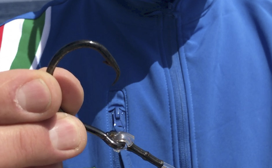 Ami Circle per il “catch & release”, ma non solo