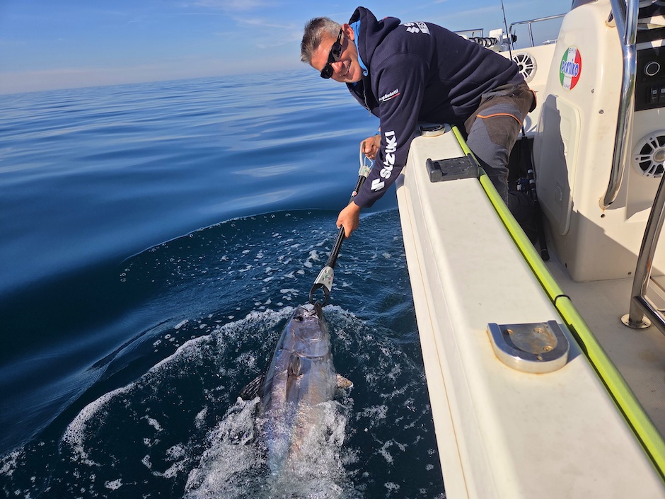 Suzuki Fishing Cup.