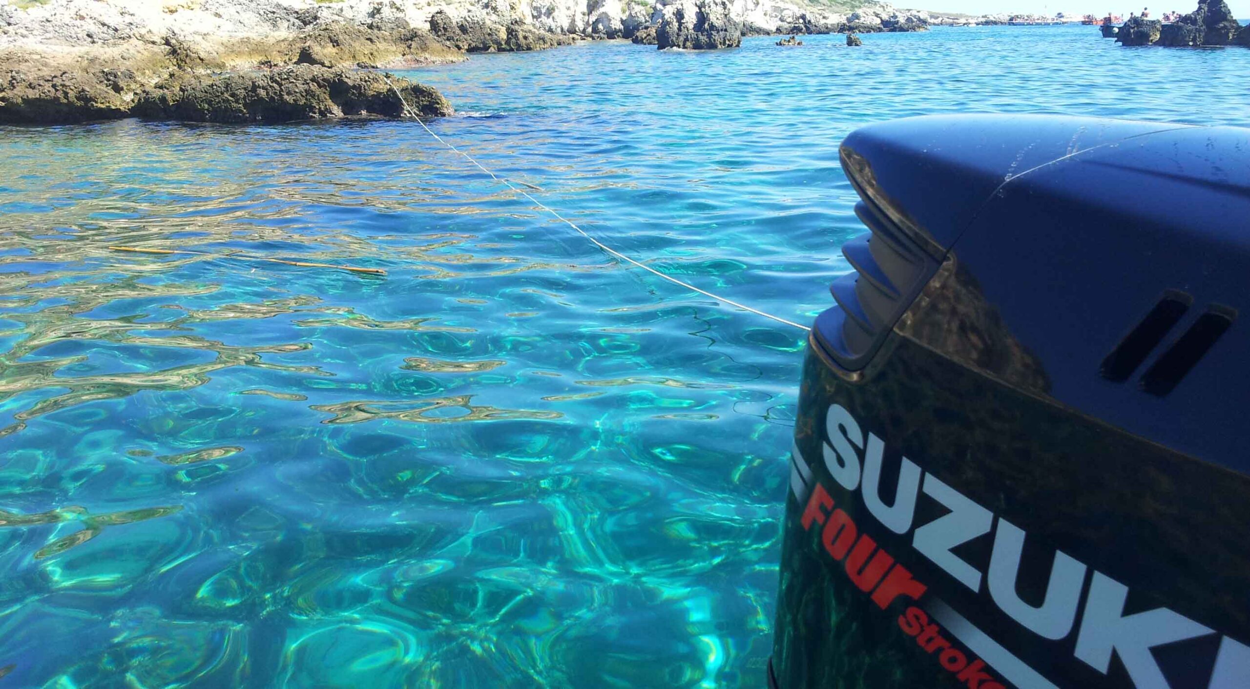 Suzuki e sostenibilità dell'ambiente: ecco le tante iniziative eco-friendly